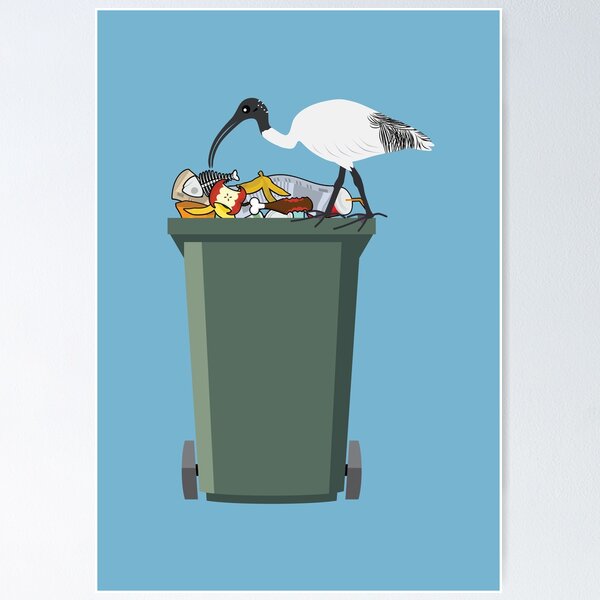 Item preview, Bin Chicken designed and sold by Meh-Ink.