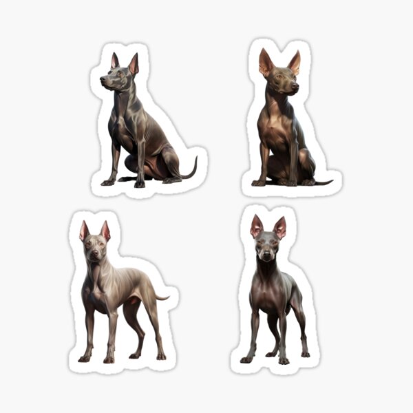 Vista previa del artículo con la obra «Perros Xoloitzcuintli», diseñado y vendido por TheAnimalZ00.