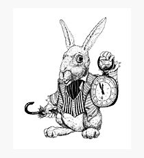 White Rabbit Photographic Print