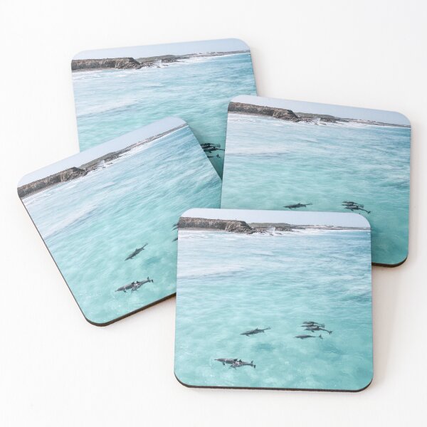 Item preview, Pod of dolphins. Southern Ocean. Australia. designed and sold by John White Photos.