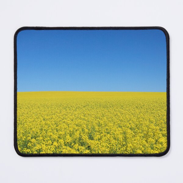 Item preview, Canola and blue sky.  designed and sold by John White Photos.