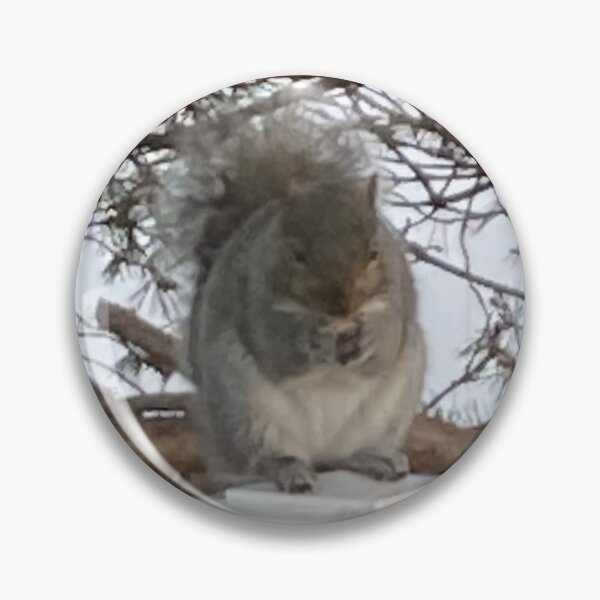 Item preview, Squirrel  designed and sold by Amanda1775.