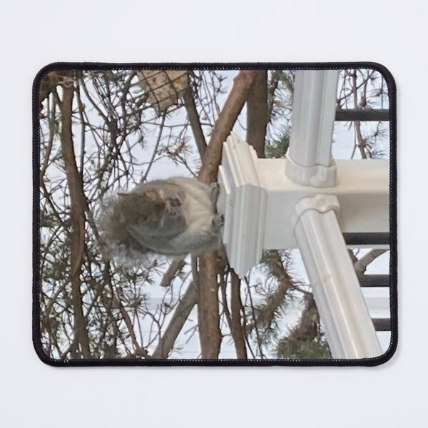 Item preview, Squirrel designed and sold by Amanda1775.