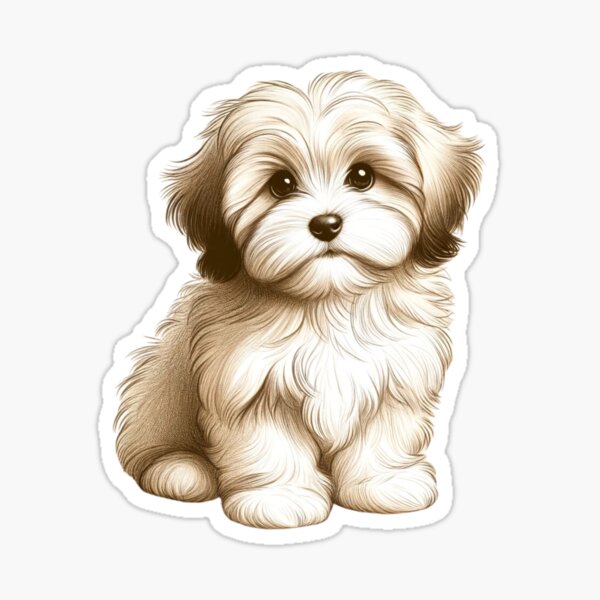Item preview, Cute Havanese Dog  designed and sold by CharmStudio.