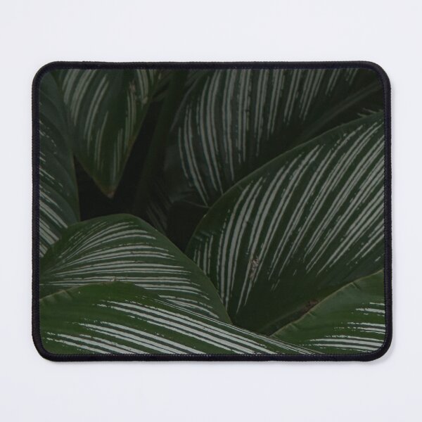 Item preview, Plant dream designed and sold by MeganK22.