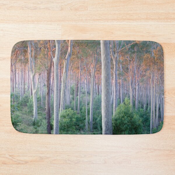 Item preview, Sunrise Spotted Gum Forest Mystery Bay designed and sold by Brett Thompson.