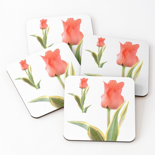 Item preview, Tulipa  'Fire of Love'   Greigii Group  Tulip  designed and sold by Chris Burrows.