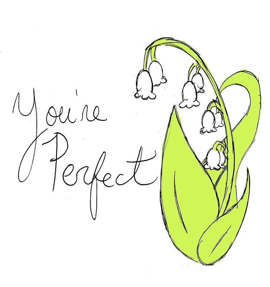 you-re-perfect-by-sonicherosfan-redbubble