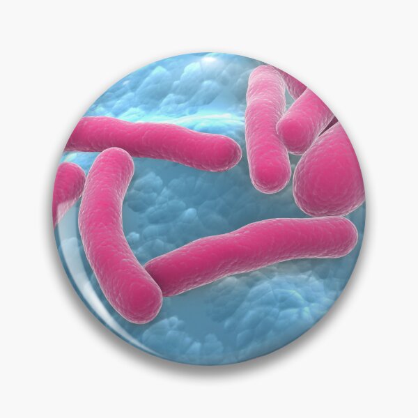 Item preview, STK701509H-Clostridium botulinum bacteria. designed and sold by StocktrekImages.
