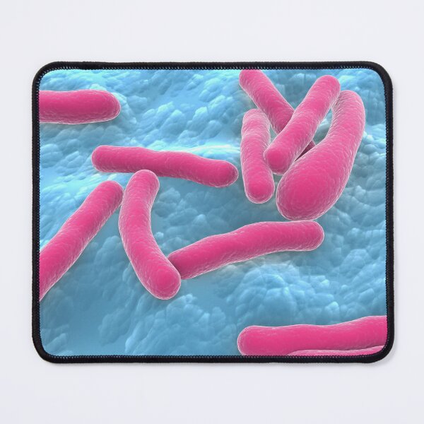Item preview, STK701509H-Clostridium botulinum bacteria. designed and sold by StocktrekImages.