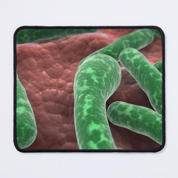 Item preview, STK701510H-Clostridium botulinum bacteria. designed and sold by StocktrekImages.