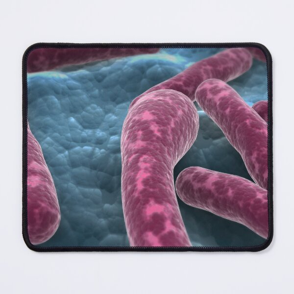 Item preview, STK701511H-Clostridium botulinum bacteria. designed and sold by StocktrekImages.