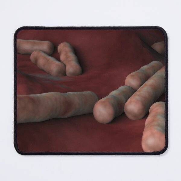 Item preview, STK701512H-Clostridium perfringens bacteria. designed and sold by StocktrekImages.