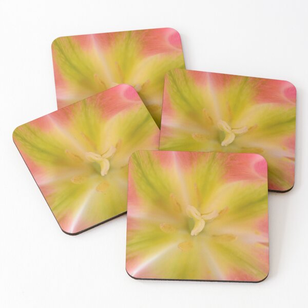 Item preview, Tulipa  'Virichic'    Viridiflora Group Tulip designed and sold by Chris Burrows.