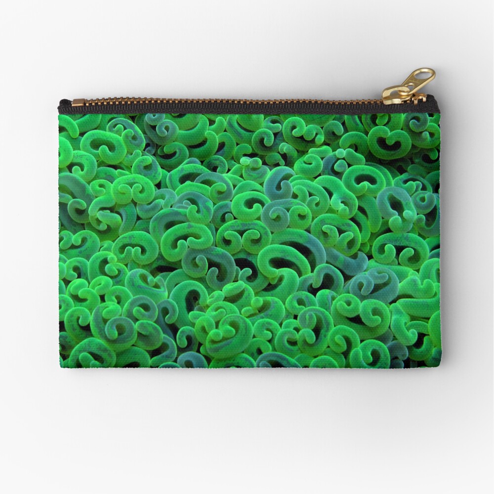 Green Euphyllid Zipper Pouch