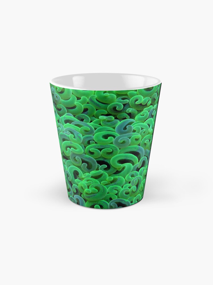Alternate view of Green Euphyllid Mug