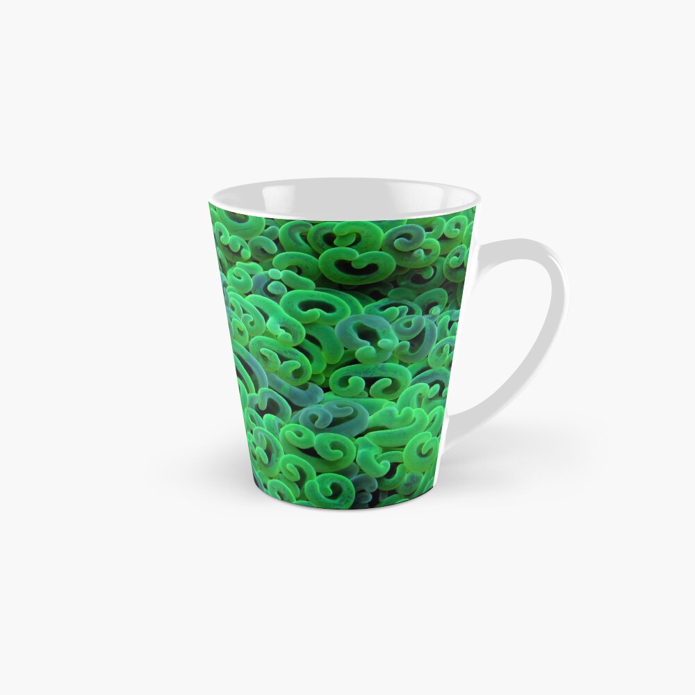 Green Euphyllid Mug