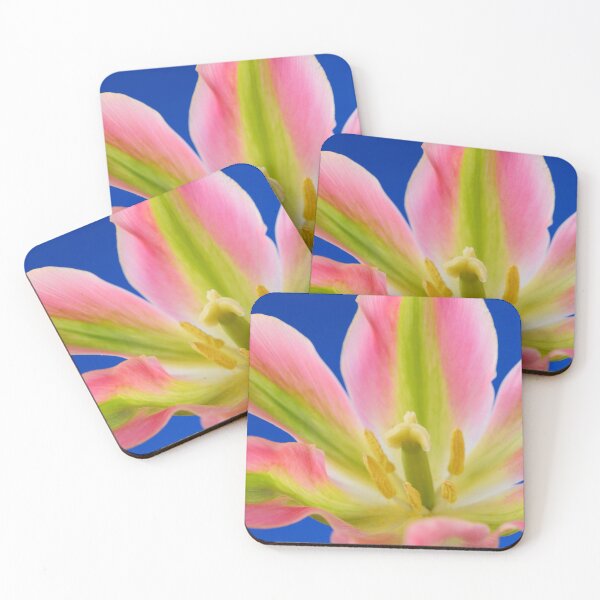 Item preview, Tulipa  'Virichic'    Viridiflora Group Tulip designed and sold by Chris Burrows.