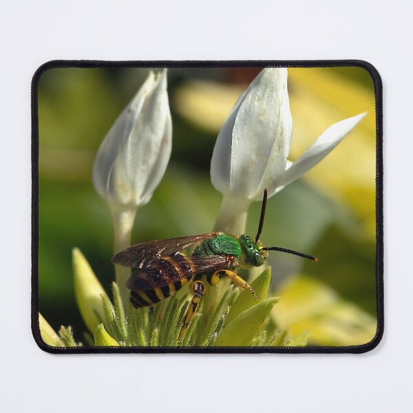 Item preview, Emeral Green Bee designed and sold by Jeffrey Mask.
