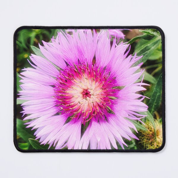 Item preview, Pink Purple Blossoms - Centaurea pullata Flower designed and sold by Marco Sales.