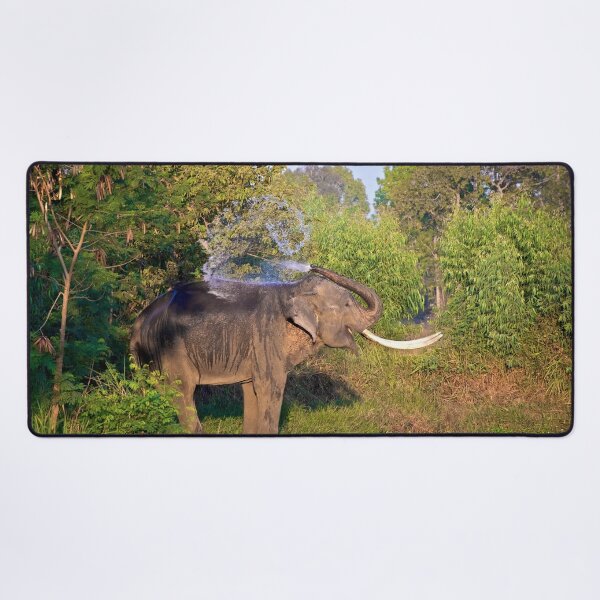 Item preview, Asian Elephant designed and sold by tpixx.