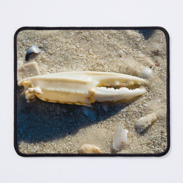 Item preview, Claw designed and sold by Jeffrey Mask.