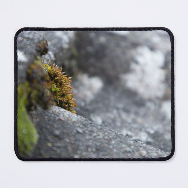 Item preview, Moss on the Roof designed and sold by Calidris Fotografie Steffi & Ben Köppler.