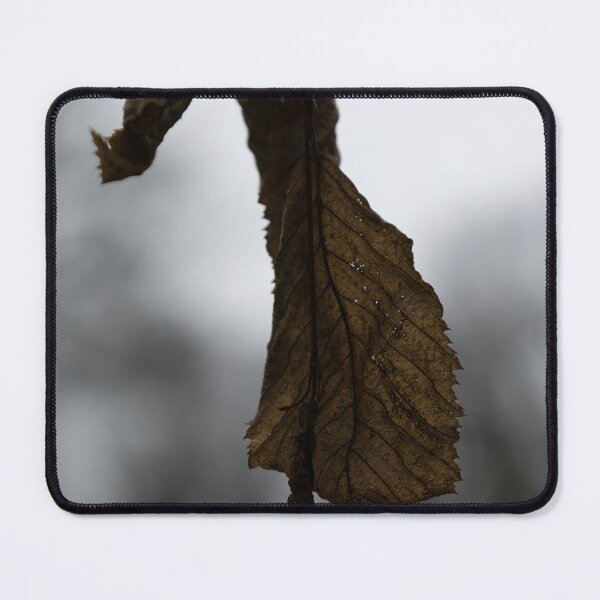 Item preview, Dry Leaves designed and sold by Calidris Fotografie Steffi & Ben Köppler.