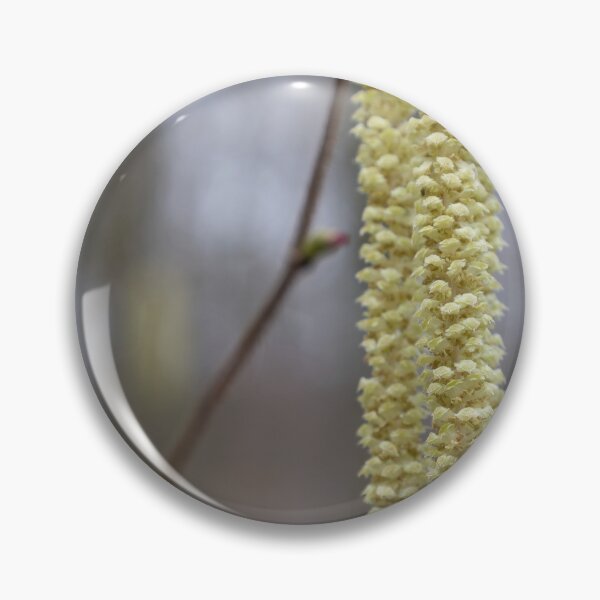 Artikelvorschau, Haselblüte entworfen und verkauft von Calidris Fotografie Steffi & Ben Köppler.