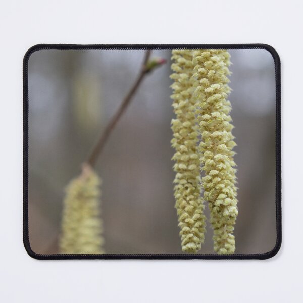 Item preview, Hazel Blossom designed and sold by Calidris Fotografie Steffi & Ben Köppler.