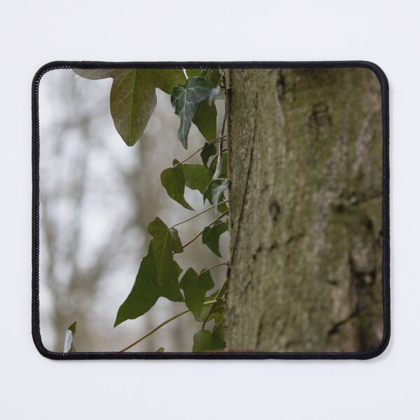 Item preview, Ivy designed and sold by Calidris Fotografie Steffi & Ben Köppler.