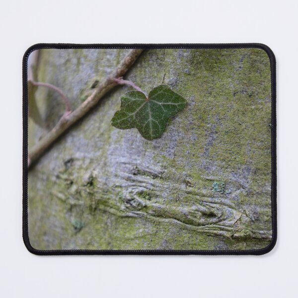 Item preview, Ivy designed and sold by Calidris Fotografie Steffi & Ben Köppler.