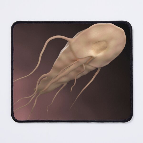 Item preview, STK701533H-The Giardia parasite. designed and sold by StocktrekImages.