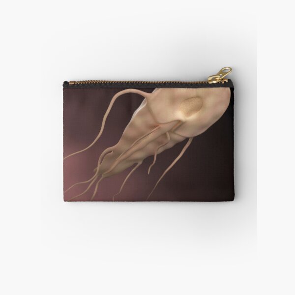 Item preview, STK701533H-The Giardia parasite. designed and sold by StocktrekImages.