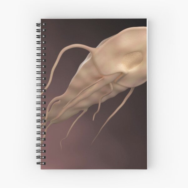 Item preview, STK701533H-The Giardia parasite. designed and sold by StocktrekImages.