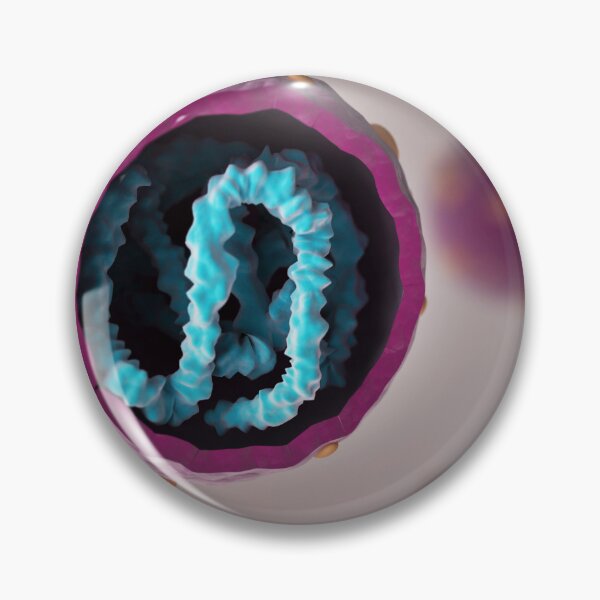 Item preview, STK701535H-Cross section of hantavirus. designed and sold by StocktrekImages.