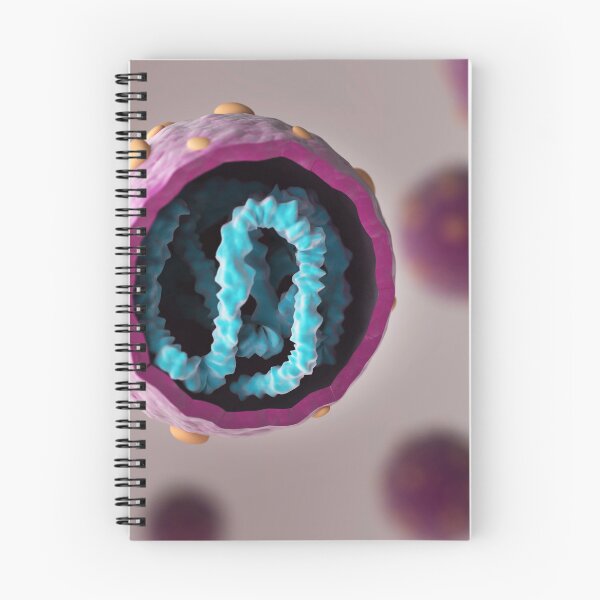 Item preview, STK701535H-Cross section of hantavirus. designed and sold by StocktrekImages.