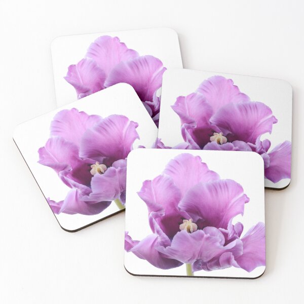 Item preview, Tulipa  'Blue Parrot'  Parrot Group Tulip   designed and sold by Chris Burrows.