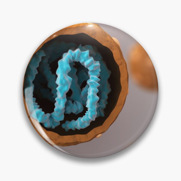Item preview, STK701536H-Cross section of hantavirus. designed and sold by StocktrekImages.
