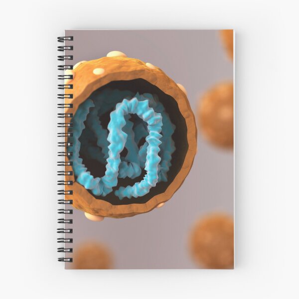 Item preview, STK701536H-Cross section of hantavirus. designed and sold by StocktrekImages.