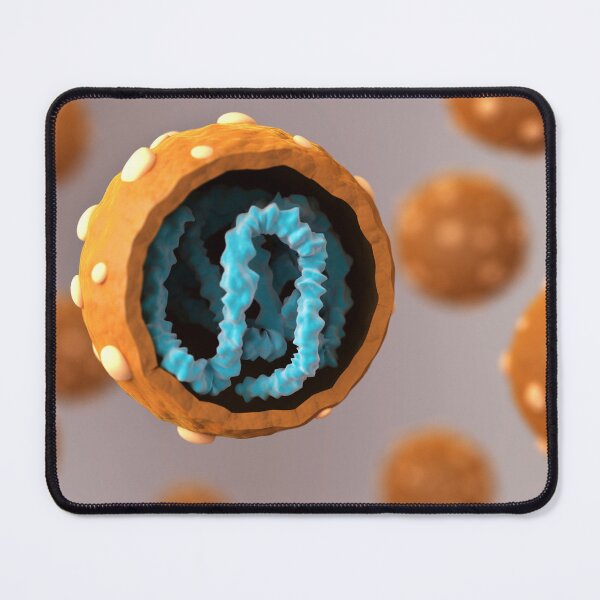 Item preview, STK701536H-Cross section of hantavirus. designed and sold by StocktrekImages.
