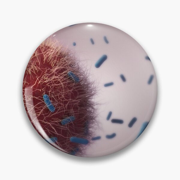 Item preview, STK701538H-Immune cells attacking tuberculosis bacteria. designed and sold by StocktrekImages.