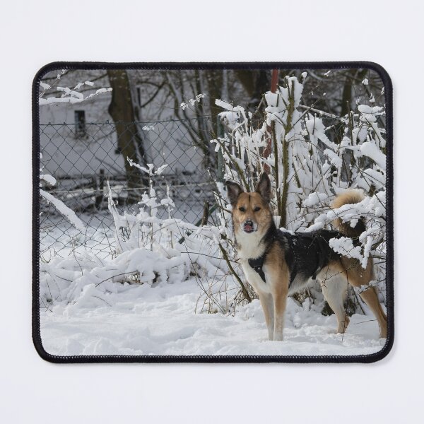 Item preview, Dog in Snow designed and sold by Calidris Fotografie Steffi & Ben Köppler.