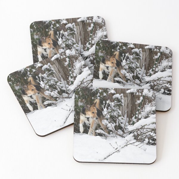 Item preview, Dog in the Snow designed and sold by Calidris Fotografie Steffi & Ben Köppler.
