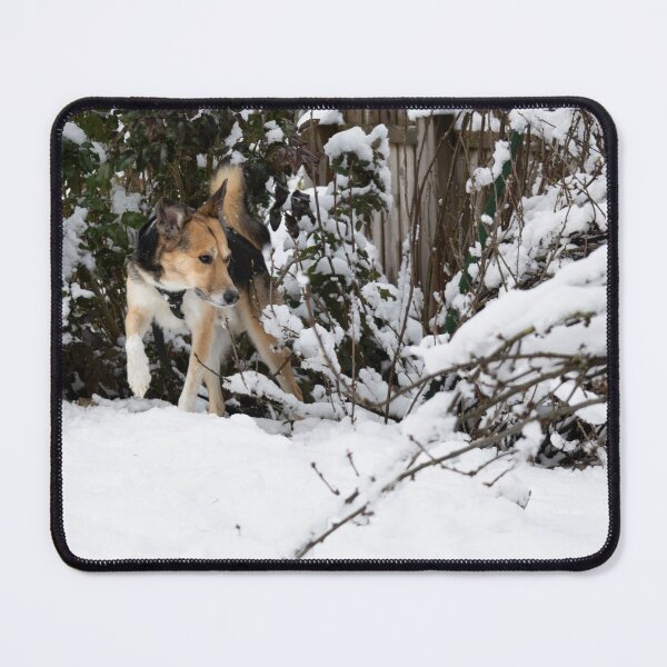 Item preview, Dog in the Snow designed and sold by Calidris Fotografie Steffi & Ben Köppler.