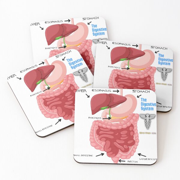 Item preview, The Digestive System. Star Trek Kids designed and sold by Glimmering Skies.