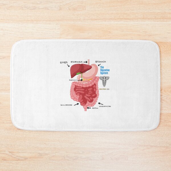 Item preview, The Digestive System. Star Trek Kids designed and sold by Glimmering Skies.