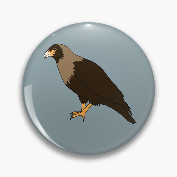 Item preview, Striated Caracara designed and sold by taylorrowan.