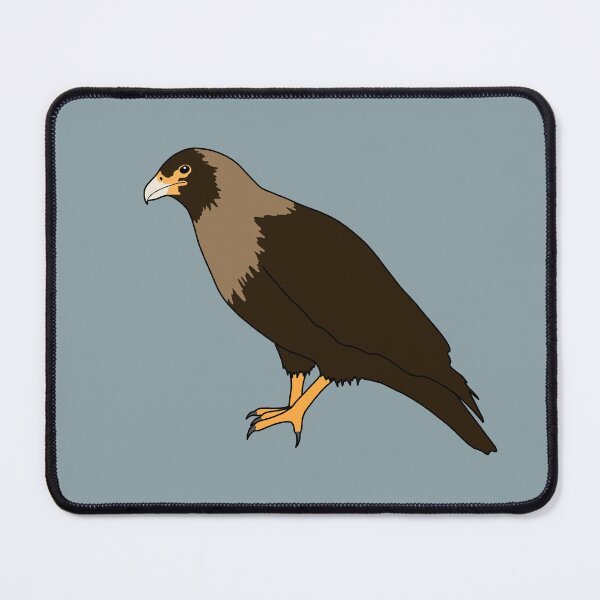 Item preview, Striated Caracara designed and sold by taylorrowan.