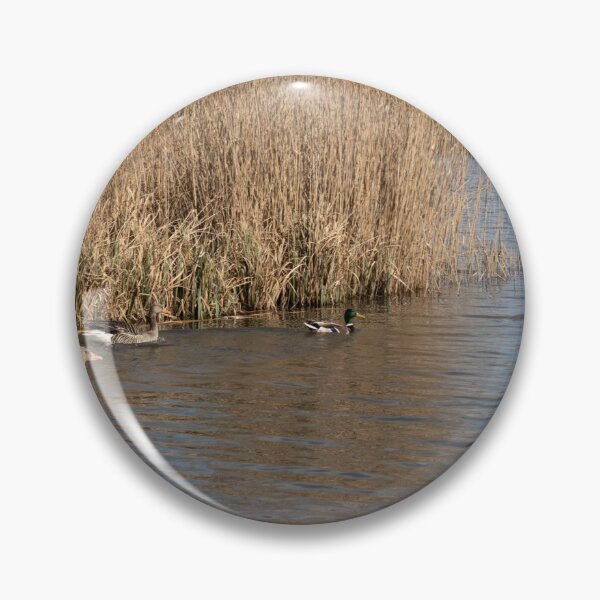 Item preview, Waterfowl designed and sold by Calidris Fotografie Steffi & Ben Köppler.
